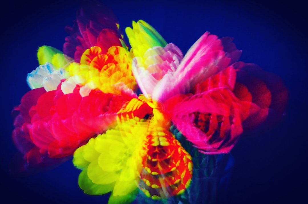 Stable Diffusion - image generation